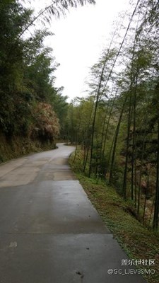 竹林山路?