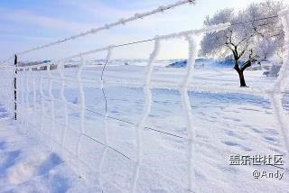 我是東北小伙，這就是我家，均為S6 edge +拍攝