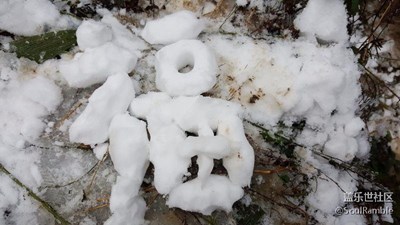 又上山玩了下???