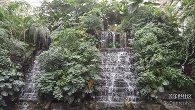 【冬日里的暖意】+石家莊+傲寒里的空中花園