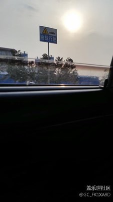 大學(xué)狗回家學(xué)車記