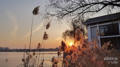 【冬日里的暖意】＋天津＋太陽