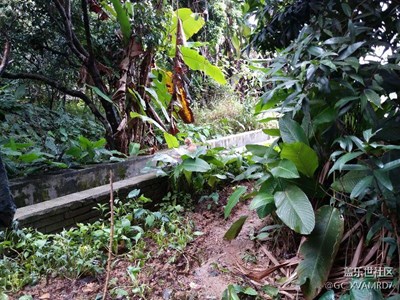 【冬日里的暖意】+肇慶+往鳥鳴處