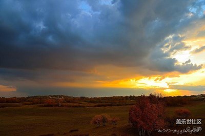 那年壩上。。非手機拍攝