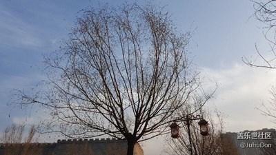 【冬日里的暖意】+臨汾+小日子最溫暖