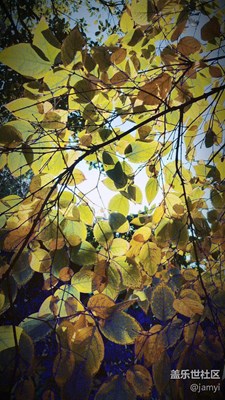 邛海與瀘山隨拍