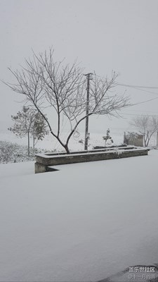 雪