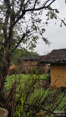 下鄉(xiāng)隨拍