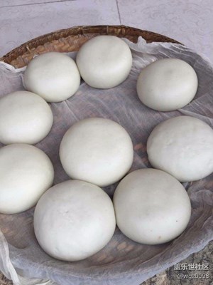 【春節(jié)曬幸?！?香格里拉+餌塊