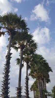 【春節(jié)曬幸?！?泰國(guó)+碧海藍(lán)天