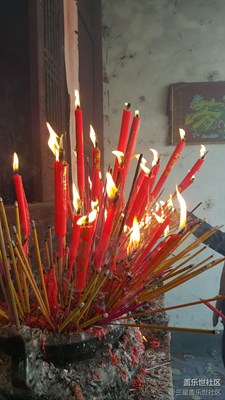 【春節(jié)曬幸?！?全南+回老家拜年