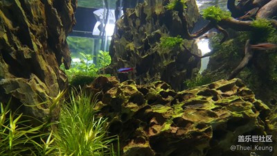 A9隨拍，水下樣張