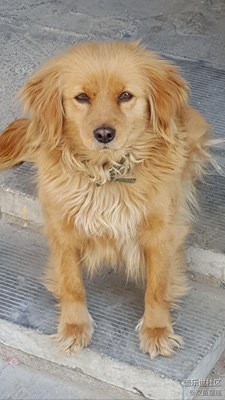 亳州  南京錢莊  門前