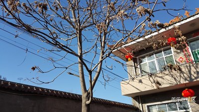 年代的氣味