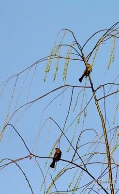 【乍暖還寒時】你好三月。