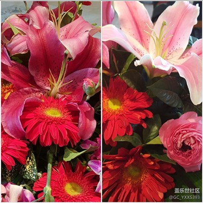 第一次用相機拼圖。