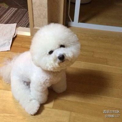 我家豆豆