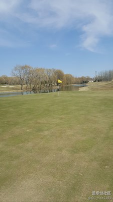 草開始慢慢綠了。