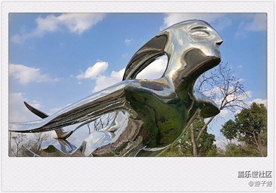 即將北歸的海鷗