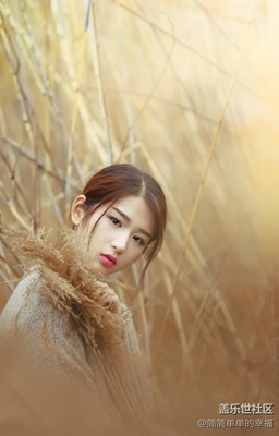 【簡簡單單】蒹葭蒼蒼,白露為霜.所謂伊人,在水一方！