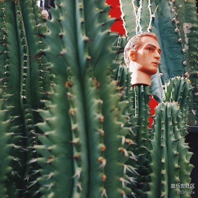 貓與亨利的腦袋 by samsung note5