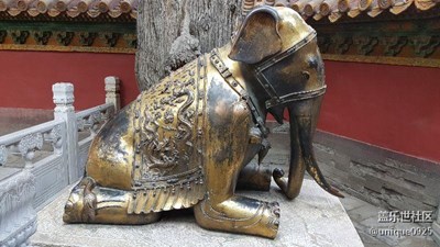 御花園中的發(fā)現(xiàn)