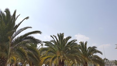 【2016/03/15】南國之風(fēng)