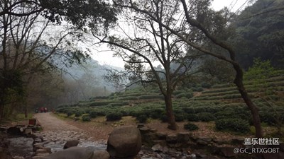 九溪茶園