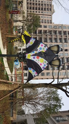 風(fēng)箏節(jié)-3