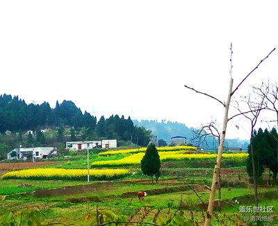 大河灣春游圖---編輯版