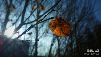 S7e隨拍和諾基亞808隨拍