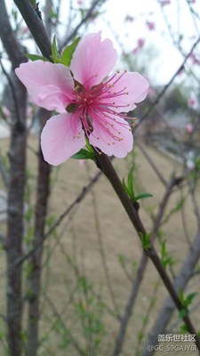 A8的超級(jí)像素