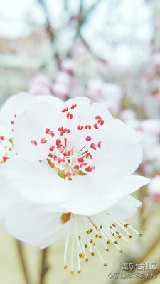 遺失的瞬間(四)春天的味道