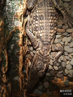 1200萬對1600萬 鑒賞＋吐槽