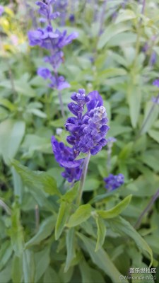 當(dāng)年用大e隨手拍的，一直用來(lái)當(dāng)背景