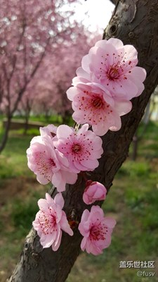 春暖花開(kāi)