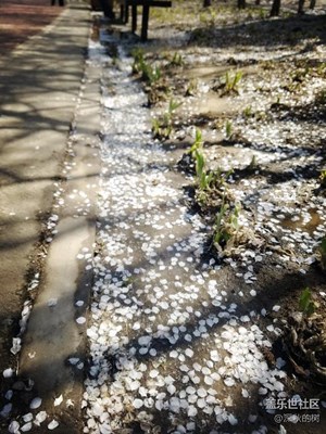 S7edge 奧林匹克森林公園試機(jī)隨拍