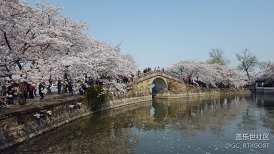 櫻花節(jié)
