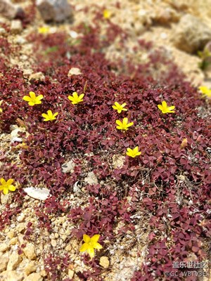 周末踏青，S7 edge隨手拍