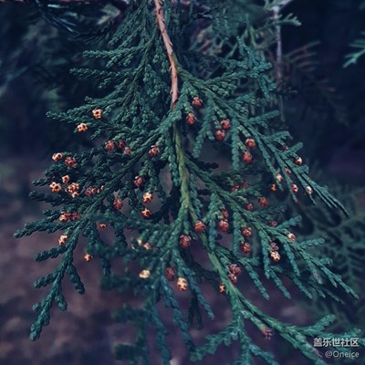 遲來的春分 by samsung note5