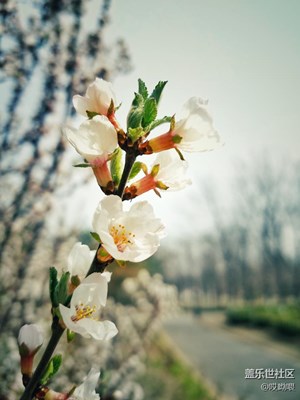 手又癢癢了 忍不住拍了幾張