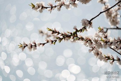 逆拍光影的故事簡(jiǎn)單而美好！ 