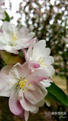 咸陽(yáng)湖春色