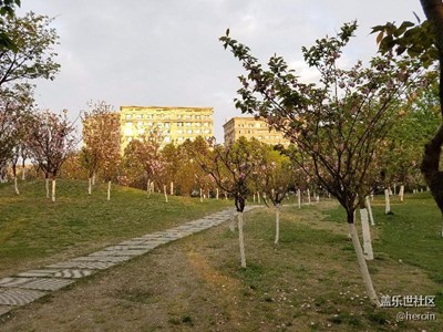 s7公園隨拍