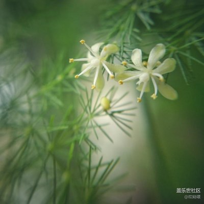 我又來了～繼續(xù)