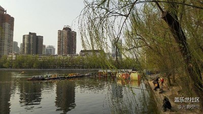 三星g9198拍攝：景色無言，春天的聲音……