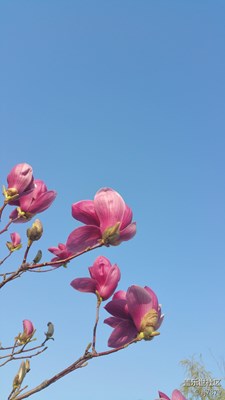 【2013-03-31】??????好心情！