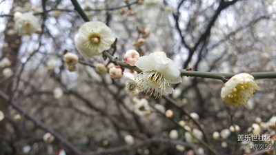 細(xì)節(jié)不錯