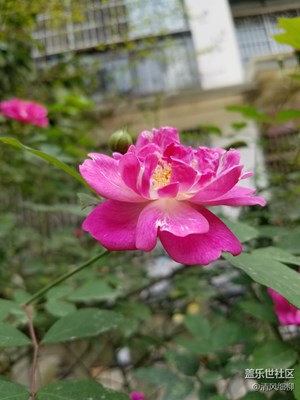 銳利的眼睛＿＿三星Galaxy S7試拍效果