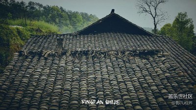 【影凡視界】手機隨拍